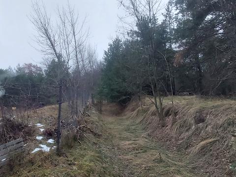 участок по адресу Васильківська