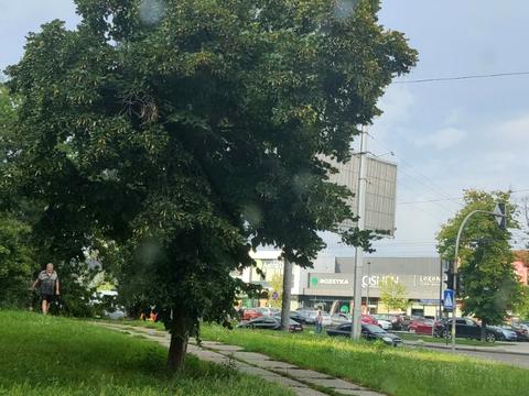 квартира по адресу Святошинская ул., 6