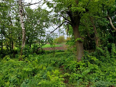 ділянка за адресою 