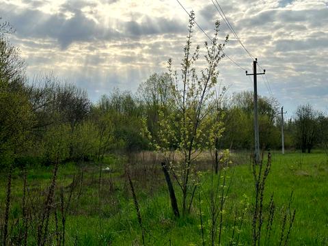 участок по адресу Остромирська