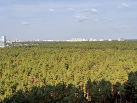 квартира по адресу Светлая ул., 3