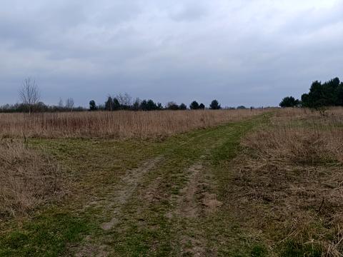 ділянка за адресою с. Добросин, 