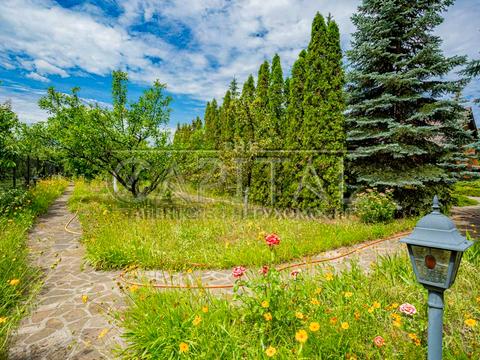 дом по адресу с. Вишенки, Придніпровська