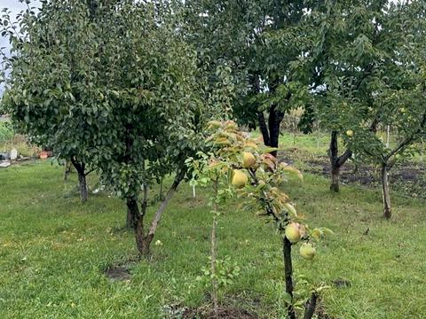 дом по адресу с. Гавришовка, Сонячна, 37