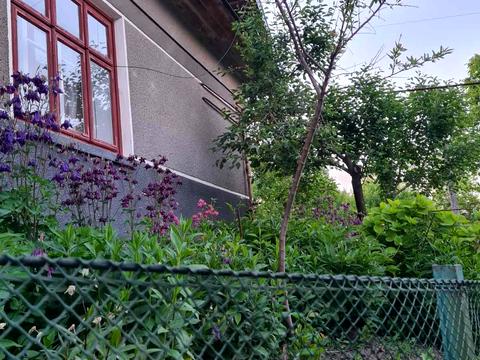 дом по адресу Стефаника В, 41