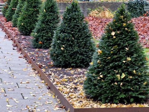 квартира за адресою Науки просп. (Леніна), 45