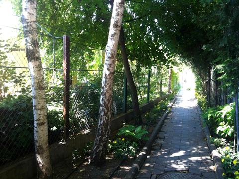 дом по адресу Планетна ул.