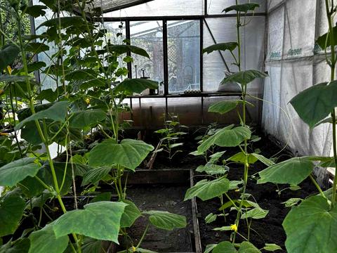 будинок за адресою Курортна