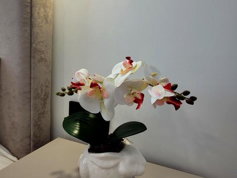 квартира за адресою Юліана Пелеша вул., 3