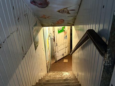 комерційна за адресою Гетьмана Павла Полуботка вул. (Попудренка), 46/2