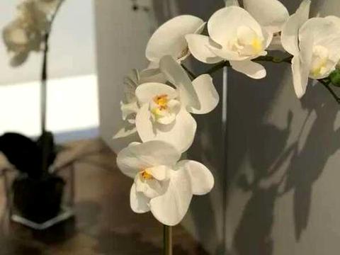 квартира по адресу Киев, Жилянская ул., 68