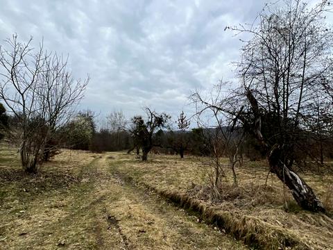 ділянка за адресою с. Козулька, запасіка, 19