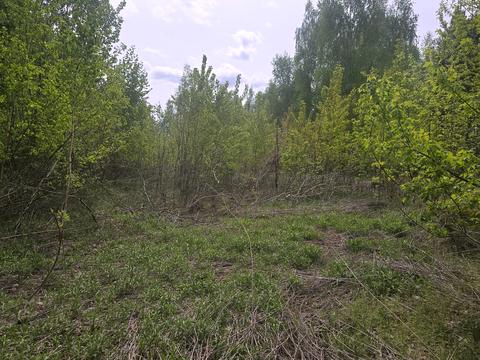 участок по адресу Киъвська