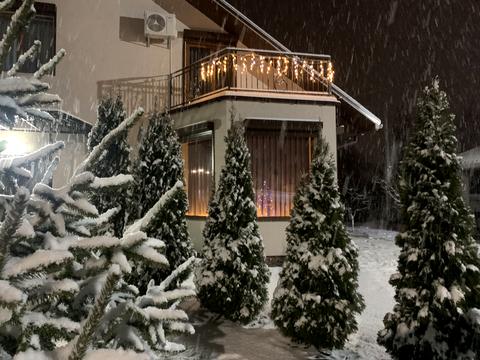 будинок за адресою с. Білогородка, Лисенка, 38