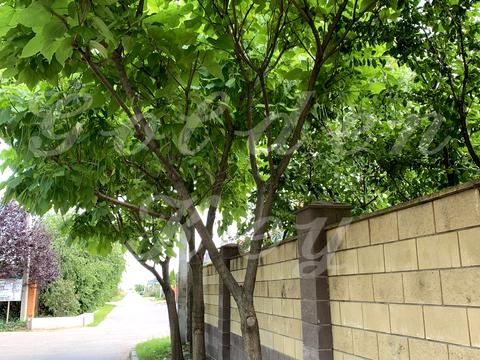 будинок за адресою Степова