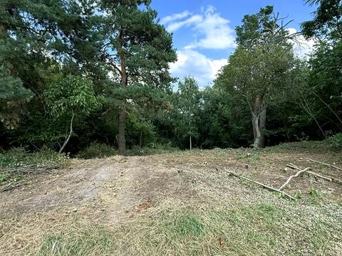 ділянка за адресою Малишка, 8/1