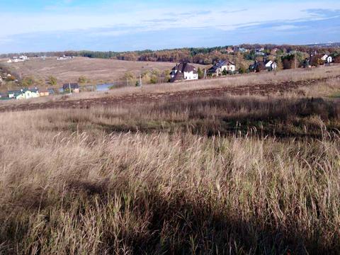 ділянка за адресою с. Ходосівка, Лесі Українки вул.