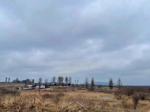 ділянка за адресою Шкільна