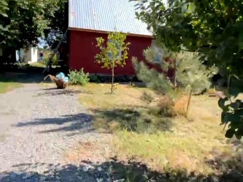 будинок за адресою с. Новоолександрівка, Садова, 98