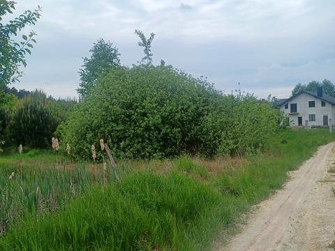 участок по адресу с. Паланки, 