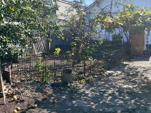 дом по адресу Винограда, 34
