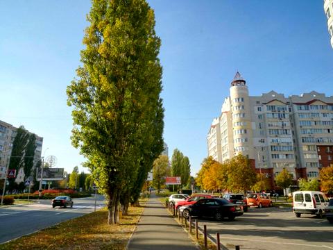 квартира по адресу Шолуденко ул., 6-Г