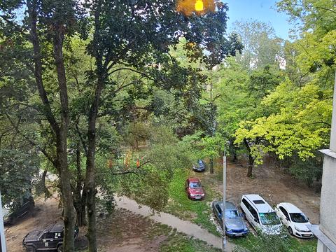 квартира по адресу Владимира Покотило ул. (Картвелішвілі), 5