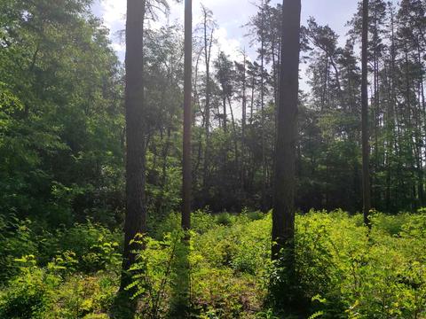 ділянка за адресою Котляревського