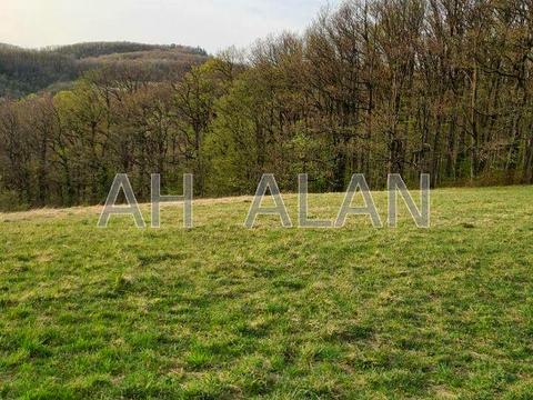 будинок за адресою Ватутіна пров.