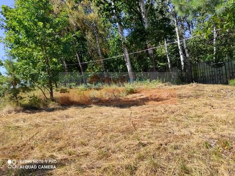 ділянка за адресою с. Кременище, 