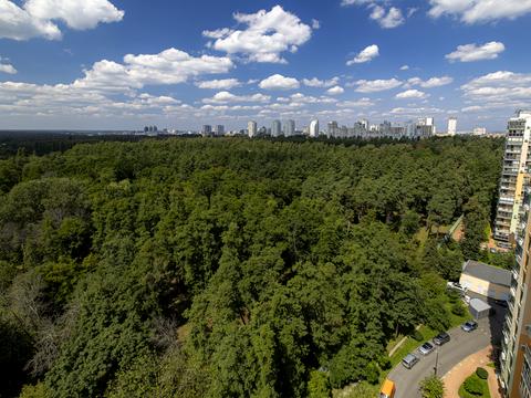 квартира за адресою Анатолія Петрицького вул., 23