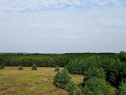 участок по адресу с. Сувид, 