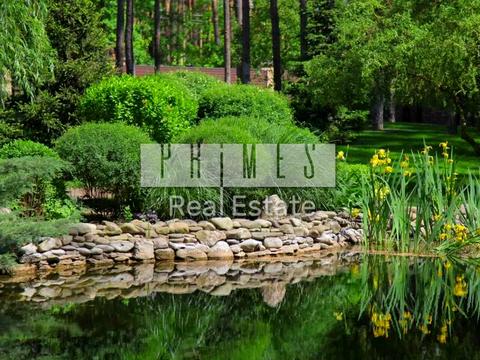 дом по адресу Гоголя ул.