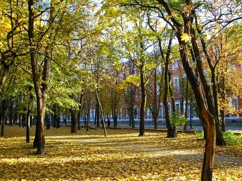 квартира за адресою Віктора Чміленка вул. (Дзержинського), 27