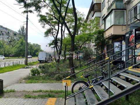 комерційна за адресою Остафія Дашкевича вул. (Курнатовського), 11