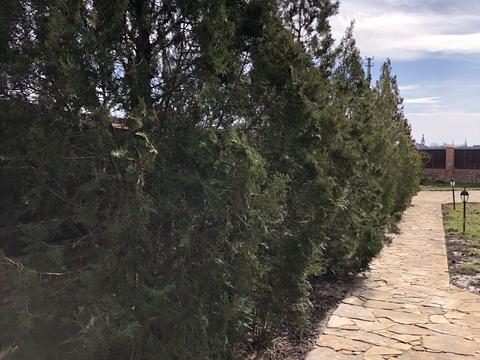 будинок за адресою Шевченка вул.