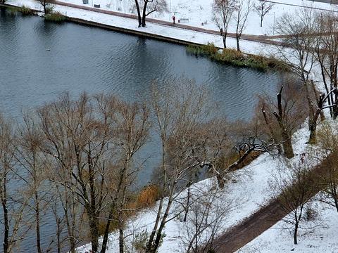 квартира за адресою Юрія Шумського вул., 3-Г