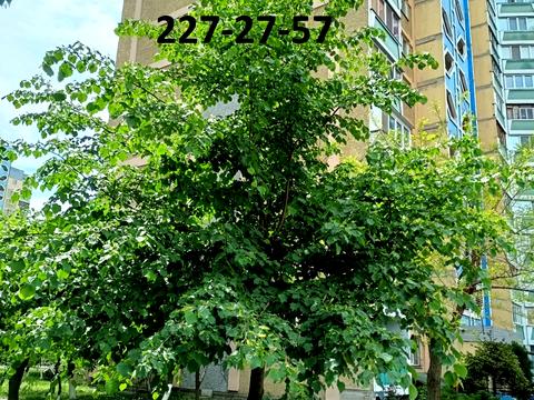 квартира за адресою Драгоманова вул., 12