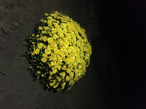 будинок за адресою Приозерна вул.