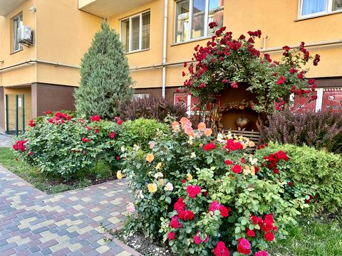 квартира за адресою с. Софіївська борщагівка, Бишівська вул., 1