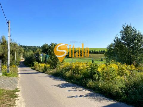 ділянка за адресою с. Лісники, 