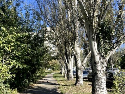 квартира по адресу Раисы Окипной ул., 7