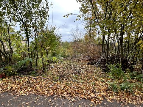 ділянка за адресою 