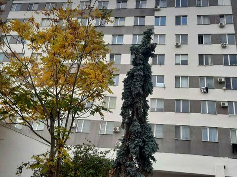 квартира за адресою Миколи Боровського вул., 37