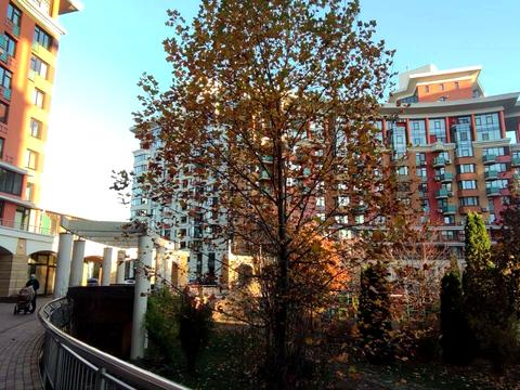 квартира по адресу Юлии Здановской ул. (Ломоносова), 71-З