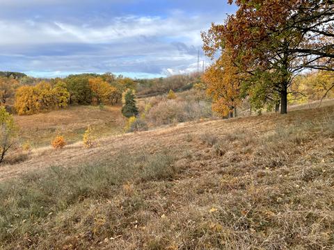 ділянка за адресою с. Великі Дмитровичі, 