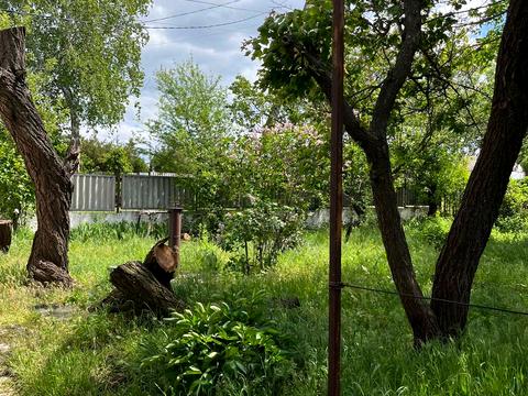 дом по адресу Фермерская ул. (Колхозная), 86