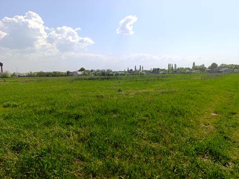 дом по адресу Щастя, 17