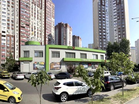квартира по адресу Софии Русовой ул., 1