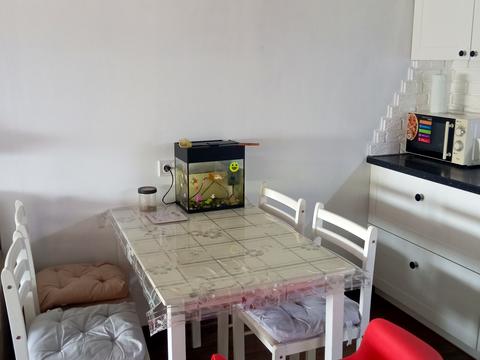 квартира за адресою Педагогічна вул., 21/1